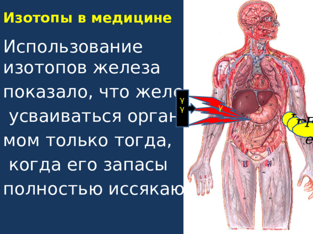 Применение радиоактивных изотопов презентация