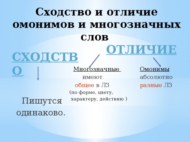 Омонимы и многозначные слова 5 класс презентация