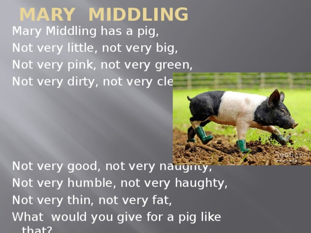 Pig перевод. Mary middling had a Pig. Mary Ann has a Pig. Mary middling. I have a Pig not very little not very big аудио.