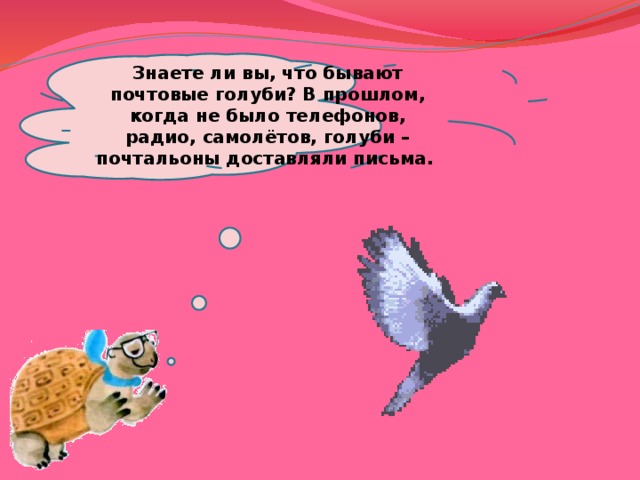 Знаете ли вы, что бывают почтовые голуби? В прошлом, когда не было телефонов, радио, самолётов, голуби – почтальоны доставляли письма. 