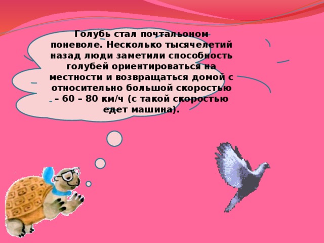 Голубь стал почтальоном поневоле. Несколько тысячелетий назад люди заметили способность голубей ориентироваться на местности и возвращаться домой с относительно большой скоростью – 60 – 80 км/ч (с такой скоростью едет машина). 