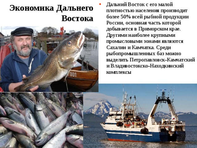 Экономика Дальнего Востока Дальний Восток с его малой плотностью населения производит более 50% всей рыбной продукции России, основная часть которой добывается в Приморском крае. Другими наиболее крупными промысловыми зонами являются Сахалин и Камчатка. Среди рыбопромышленных баз можно выделить Петропавловск-Камчатский и Владивостокско-Находкинский комплексы 