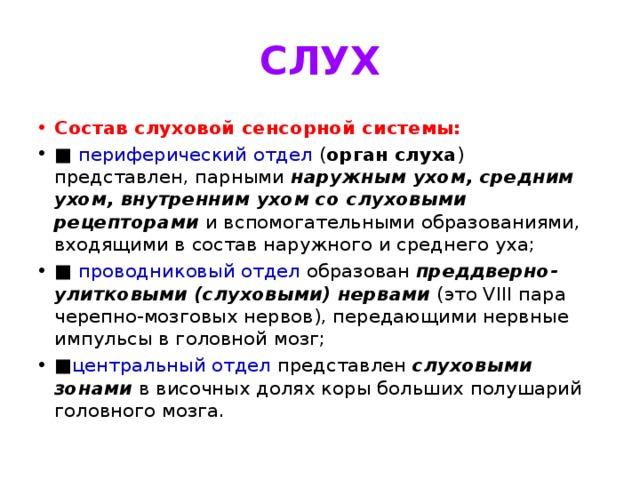 СЛУХ Состав слуховой сенсорной системы: ■ периферический отдел ( орган слуха ) представлен, парными  наружным ухом, средним ухом, внутренним ухом со слуховыми рецепторами  и вспомогательными образованиями, входящими в состав наружного и среднего уха; ■ проводниковый отдел образован  преддверно-улитковыми   (слуховыми) нервами  (это VIII пара черепно-мозговых нервов), передающими нервные импульсы в головной мозг; ■ центральный отдел представлен  слуховыми зонами  в височных долях коры больших полушарий головного мозга. 