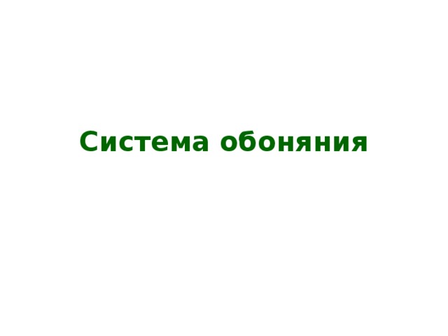 Система обоняния 