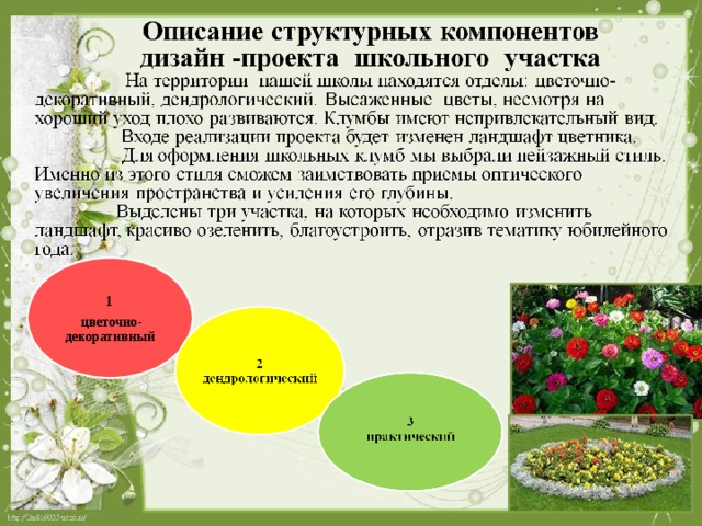 Социально педагогический проект школьный двор