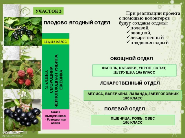 Гост 13799 81 продукция плодовая ягодная овощная