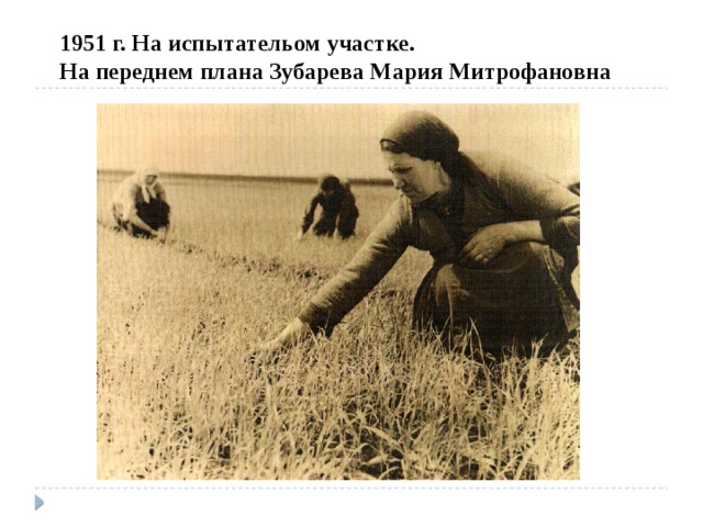 1951 г. На испытательом участке. На переднем плана Зубарева Мария Митрофановна 