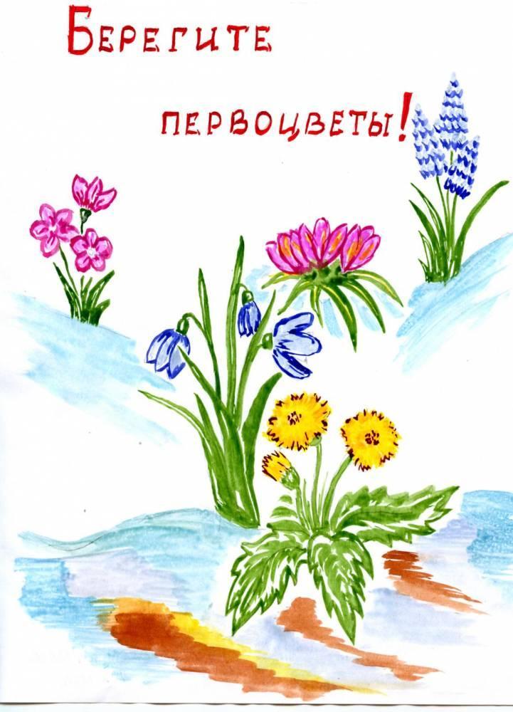 Плакат первоцветы. Береги растения. Рисунок на тему берегите растения. Плакат берегите растения. Первоцветы для дошкольников.