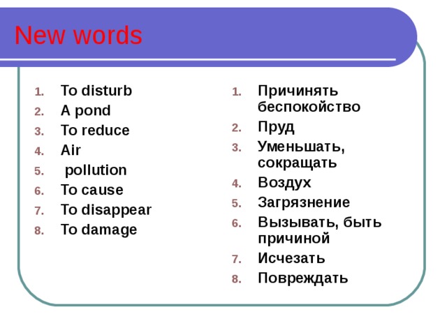 New words