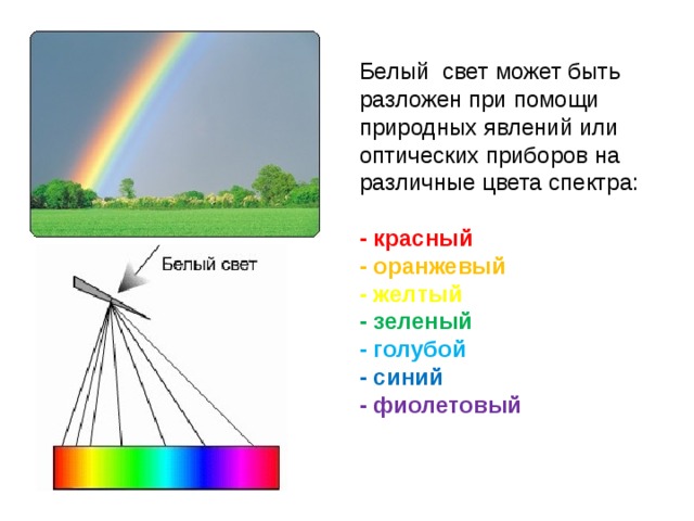 Белый свет может быть разложен при помощи природных явлений или оптических приборов на различные цвета спектра: - красный - оранжевый - желтый - зеленый - голубой - синий - фиолетовый 