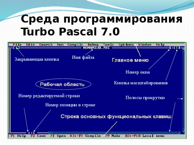 Как называется результат программирования на языке pascal документ проект книга файл