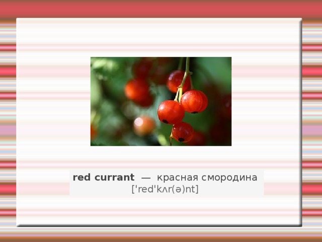red currant   —   красная смородина    ['red'kʌr(ə)nt]   