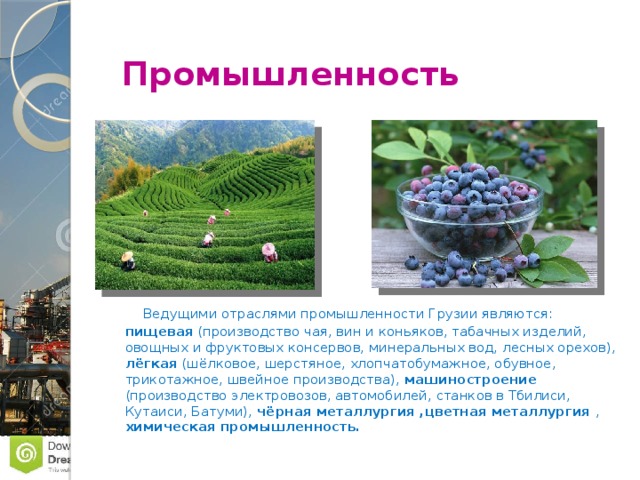  Промышленность  Ведущими отраслями промышленности Грузии являются: пищевая (производство чая, вин и коньяков, табачных изделий, овощных и фруктовых консервов, минеральных вод, лесных орехов), лёгкая (шёлковое, шерстяное, хлопчатобумажное, обувное, трикотажное, швейное производства), машиностроение (производство электровозов, автомобилей, станков в Тбилиси, Кутаиси, Батуми), чёрная металлургия ,цветная металлургия , химическая промышленность. 