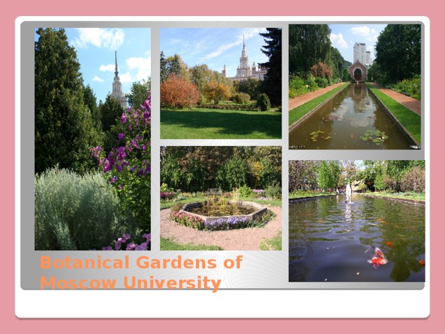 Botanical Gardens of Moscow University 