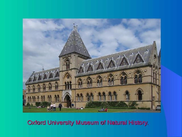  Oxford University Museum of Natural History. 