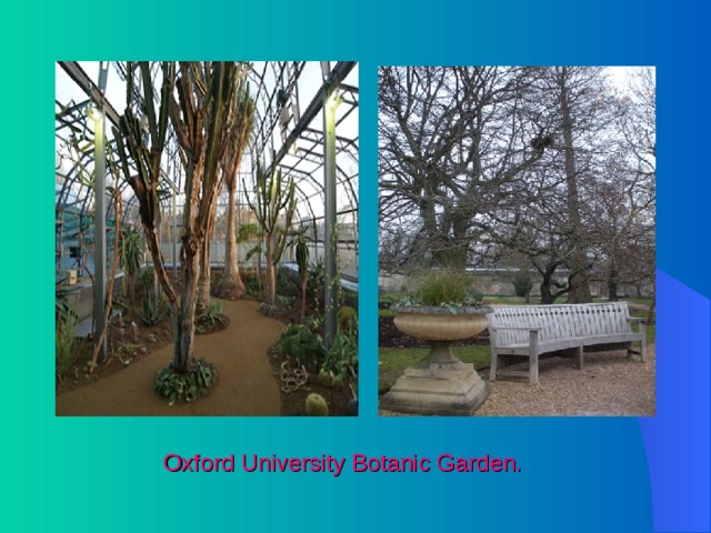  Oxford University Botanic Garden. 