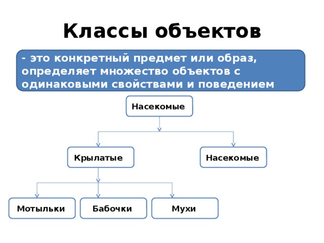 Класс объектов 5 класс