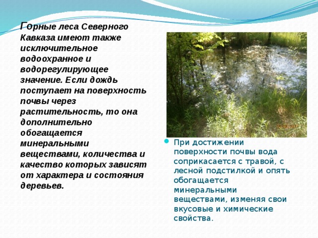 Го рные леса Северного Кавказа имеют также исключительное водоохранное и водорегулирующее значение. Если дождь поступает на поверхность почвы через растительность, то она дополнительно обогащается минеральными веществами, количества и качество которых зависят от характера и состояния деревьев. При достижении поверхности почвы вода соприкасается с травой, с лесной подстилкой и опять обогащается минеральными веществами, изменяя свои вкусовые и химические свойства. 