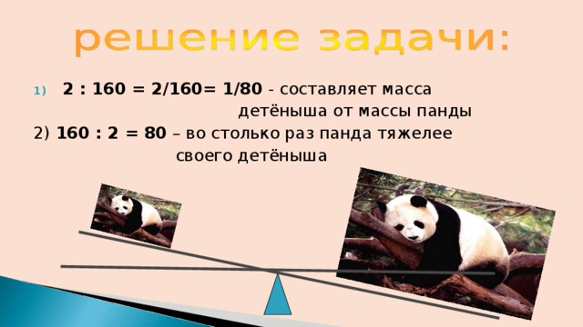 2 : 160 = 2/160= 1/80 - составляет масса  детёныша от массы панды 2) 160 : 2 = 80 – во столько раз панда тяжелее  своего детёныша 