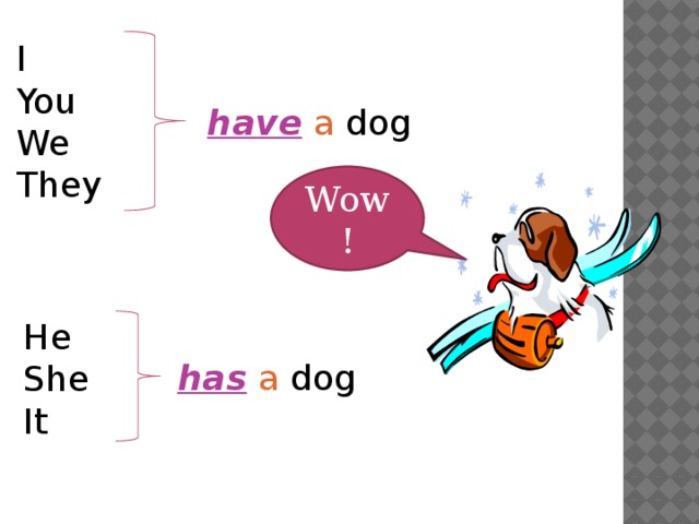 I You We They have  a dog Wow! He She It has  a dog 