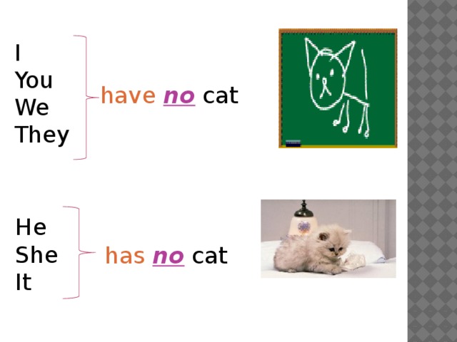 I You We They have  no cat He She It has  no cat 