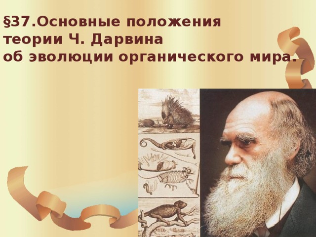 §37.Основные положения  теории Ч. Дарвина  об эволюции органического мира.   