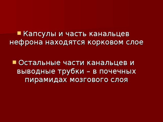 Презентация по биологии органы выделения 7 класс