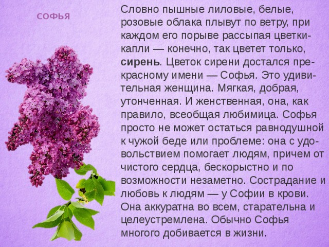 Софии пришло сообщение что ее номер. Цветок имени Софья. Имена обозначающие цветы. Красивые имена для растений. Имена цветов для девочек.