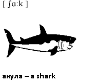 Шарк на английском. Shark транскрипция. Акула на английском. Слово акула. Shark на английском с транскрипцией.