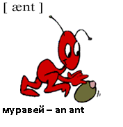 Ant транскрипция и перевод