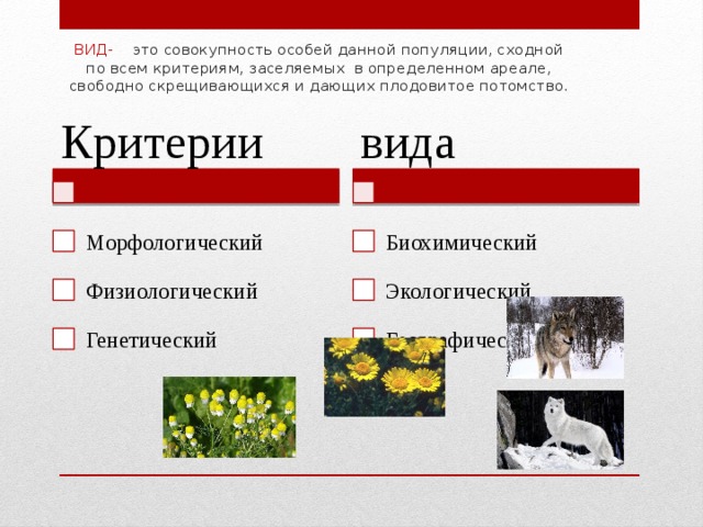 Вид в природе занимает определенный ареал. Экологические критерии морфологический генетический. Морфологический генетический физиологический экологический.