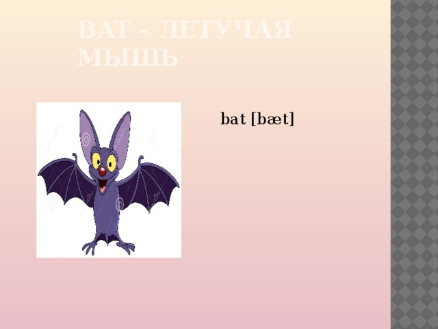 BAT – ЛЕТУЧАЯ МЫШЬ bat [bæt] 