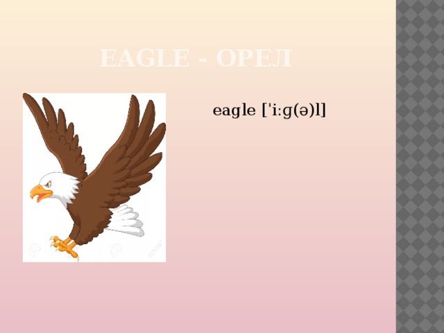 EAGLE - ОРЕЛ eagle [ˈiːɡ(ə)l] 