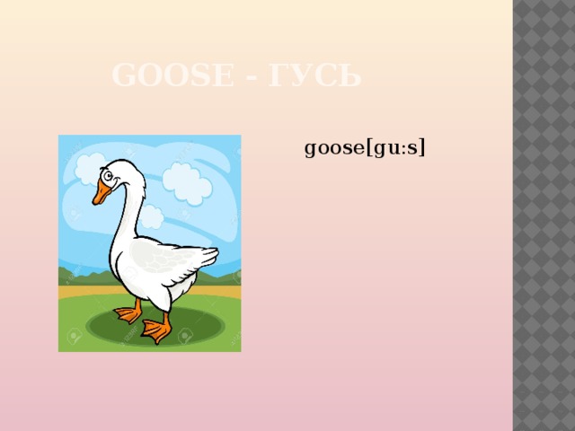 GOOSE - ГУСЬ  goose[gu:s] 