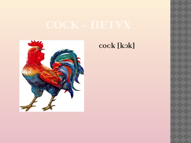  COCK - ПЕТУХ cock [kɔk] 