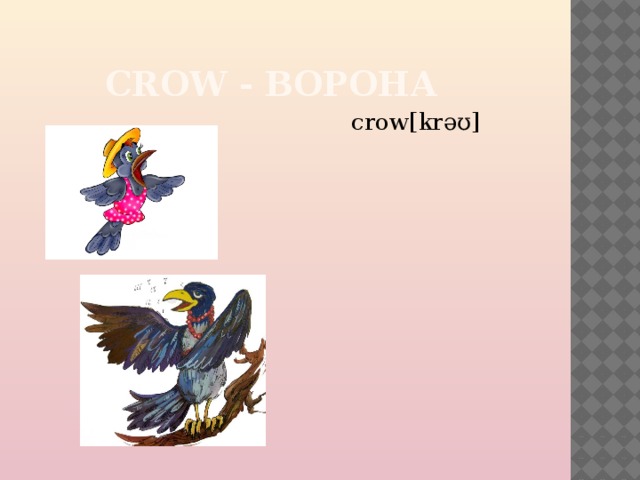  CROW - ВОРОНА  crow[krəʊ] 