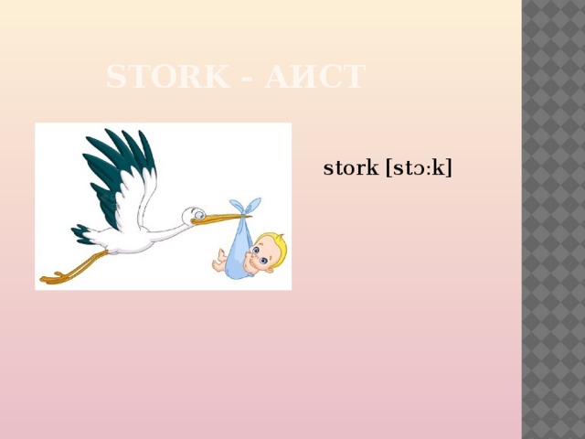  STORK - АИСТ stork [stɔ:k] 