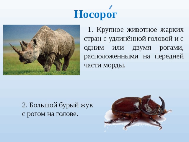 Носорог 1. Крупное животное жарких стран с удлинённой головой и с одним или двумя рогами, расположенными на перед­ней части морды. 2. Большой бурый жук с рогом на голове. 