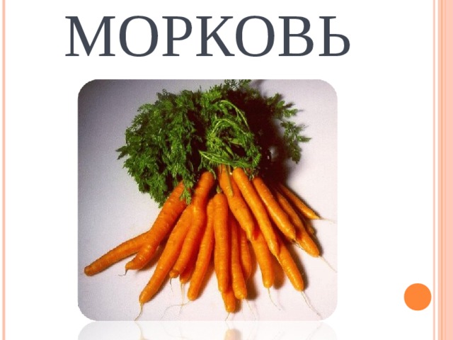 МОРКОВЬ 