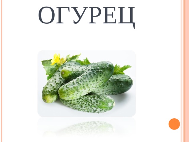 ОГУРЕЦ 