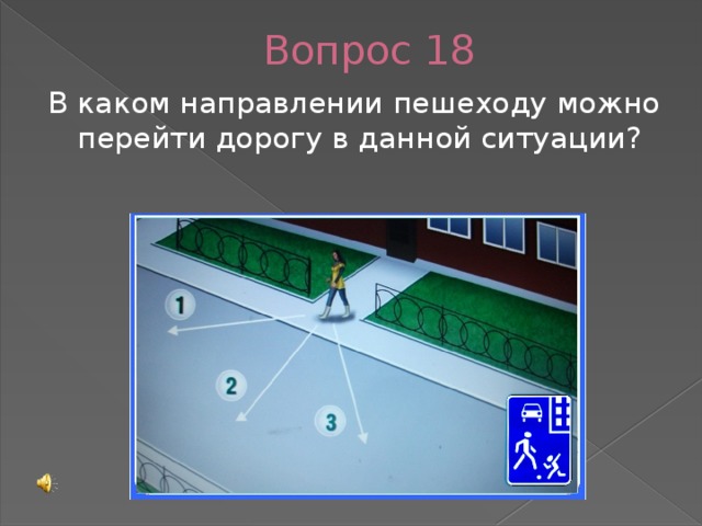 Вопрос 18 В каком направлении пешеходу можно перейти дорогу в данной ситуации?