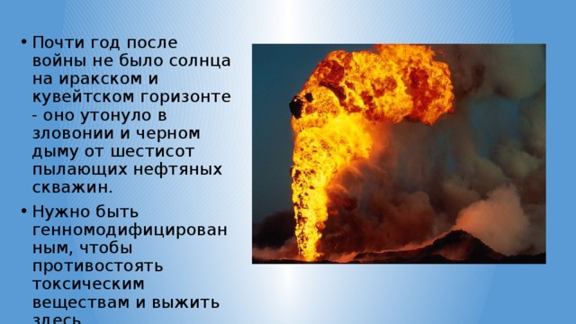 Почти год после войны не было солнца на иракском и кувейтском горизонте - оно утонуло в зловонии и черном дыму от шестисот пылающих нефтяных скважин. Нужно быть генномодифицированным, чтобы противостоять токсическим веществам и выжить здесь 