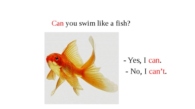 He like a fish. Can you Swim ответ. A Fish can Swim. Can you Swim like a Fish. I can Swim like a Fish.