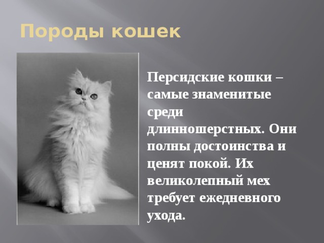 Породы кошек  Персидские кошки – самые знаменитые среди длинношерстных. Они полны достоинства и ценят покой. Их великолепный мех требует ежедневного ухода.