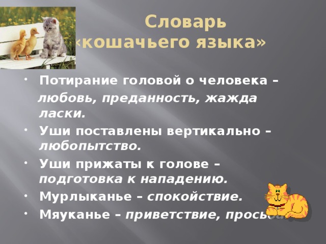 Словарь  «кошачьего языка» Потирание головой о человека –  любовь, преданность, жажда ласки.