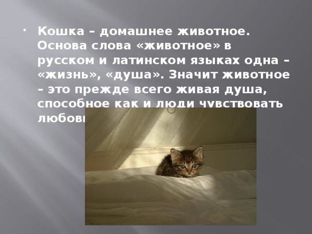 Кошка – домашнее животное. Основа слова «животное» в русском и латинском языках одна – «жизнь», «душа». Значит животное – это прежде всего живая душа, способное как и люди чувствовать любовь, радость, боль, обиду.