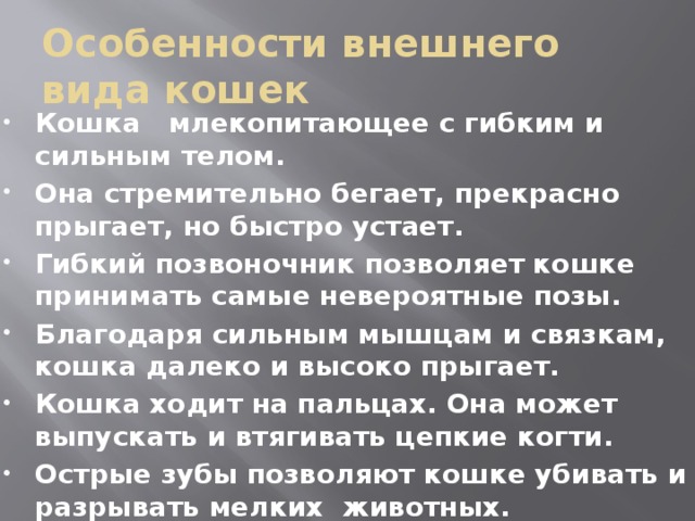 Особенности внешнего вида кошек