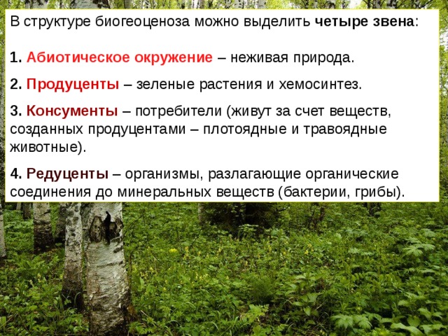 8 заполните пропуск в схеме общей структуры экосистем организм сообщество экосистема неживая природа