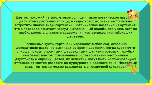 Какое кодовое название дали немцы этому плану