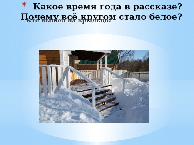Какое время года в рассказе?  Почему всё кругом стало белое?   Кто вышел на крыльцо? 